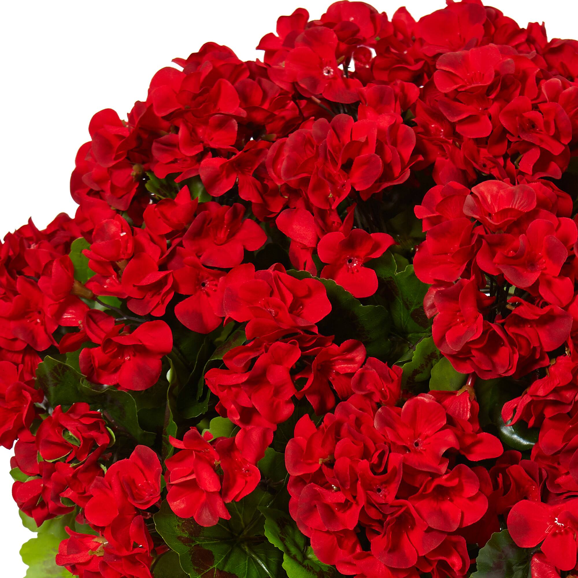 22" Red Geranium in Farmhouse Style Planter